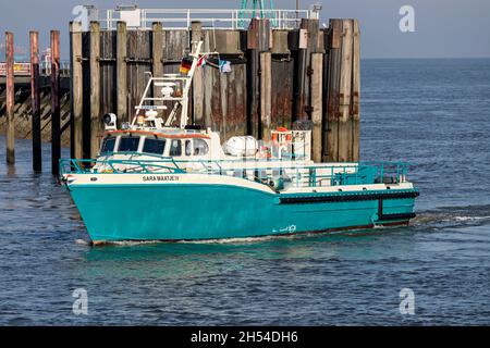 Die Tender der ACTA Marine Sara MAATJE IV im Hafen von Cuxhaven Stockfoto