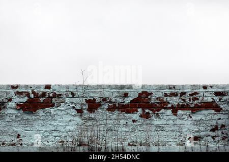HINTERGRUNDTEXTUR - Alte Backsteinwand mit abblätternder Farbe und Unkraut, die an der Basis isoliert vor einem hellgrauen Himmel wachsen Stockfoto