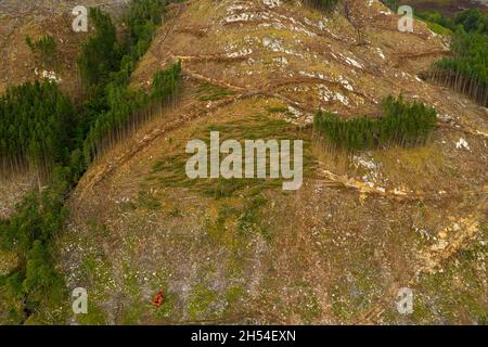 Luftaufnahme der Holzernte auf einem Hügel in der Nähe von Cannich im schottischen Hochland. Stockfoto