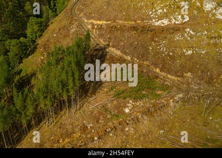 Luftaufnahme der Holzernte auf einem Hügel in der Nähe von Cannich im schottischen Hochland. Stockfoto