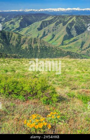 Imnaha wallowa Tal und Berge in der Ferne von Hut Point Road in der Nähe der imnaha gesehen, Oregon Stockfoto