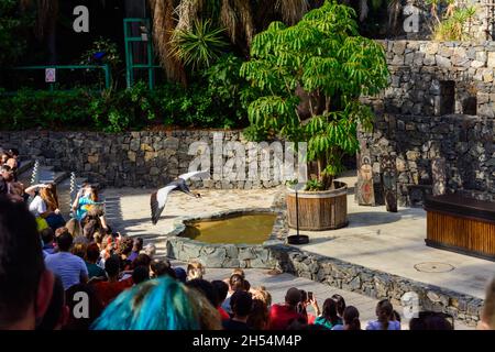 PORT AVENTURA, SPANIEN - 31. OKTOBER 2021. Attraktionen des Themenparks Port Aventura. Stadt Salou, Katalonien, Spanien. Stockfoto