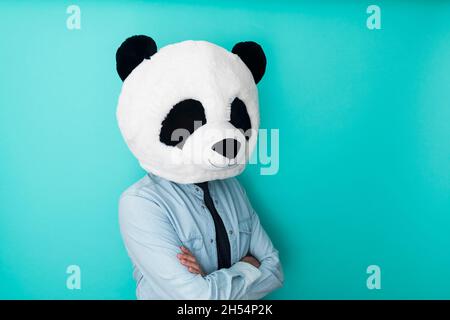 Mann in Panda-Maske, der auf farbigem Hintergrund steht Stockfoto
