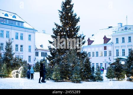 Weihnachtsbaum auf dem zentralen Platz der Altstadt von Tallinn. Nordische Weihnachtsdekoration in Tallinn. Stockfoto