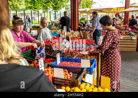 Talliskivi Teil von Tallinn in Estland Stockfoto