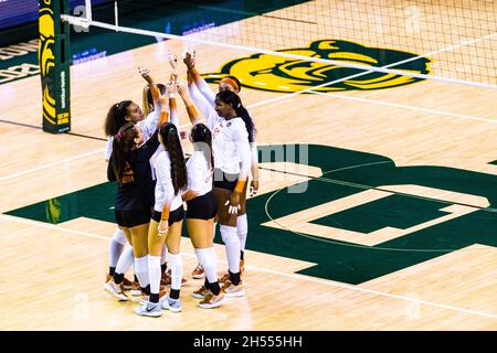 Waco, Texas, USA. November 2021. Die Longhorns nehmen das Feld vor dem 3. Satz während eines GROSSEN 12-Konferenzmatches zwischen No.10 Baylor und No.1 Texas am 06. November 2021 im Ferrell Center in Waco Texas ein. Baylor gewann das Spiel mit 3:1. Die erste Niederlage der Saison für Texas. (Bild: © Matthew Smith/ZUMA Press Wire) Stockfoto