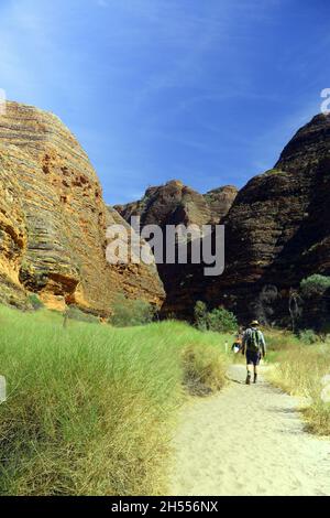 Menschen, die in die Cathedral Gorge, den Purnululu (Bungle bungles) National Park, die Kimberley-Region und Westaustralien wandern. Nein, MR Stockfoto