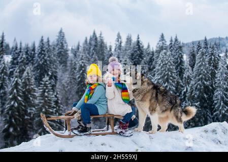 Junge und Mädchen mit Husky Dog Rodeln in einem verschneiten Wald. Outdoor Winter Kinder Spaß zu Weihnachten und Neujahr. Kinder genießen eine Schlittenfahrt. Stockfoto