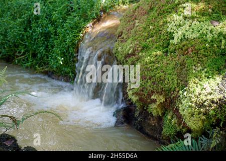 Kleiner Wasserfall mit Kaskaden in Fournas auf den azoren Stockfoto