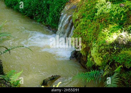 Kleiner Wasserfall mit Kaskaden in Fournas auf den azoren Stockfoto