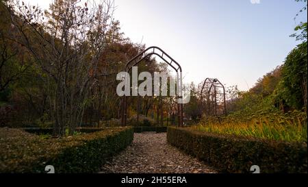 Eisentor im Garten unter dem Himmel, Herbst, 2021 Stockfoto