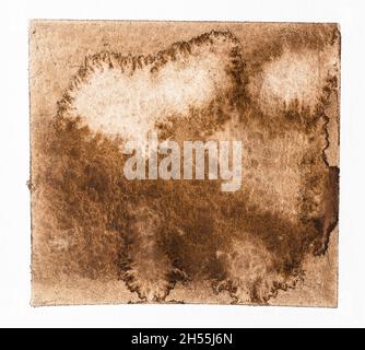 Beispiel für Aquarellmaltechnik handgezeichnet in Sepia-Farbe auf strukturiertem weißem Papier Nahaufnahme - Aquarellblüten in großen Wassertropfen o Stockfoto