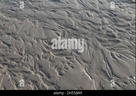 Meeresboden der Nordsee bei Ebbe Stockfoto