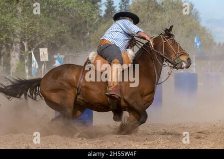 Ein argentinischer Gaucho in kreolischen Geschicklichkeitsspielen in Patagonien, Argentinien Stockfoto