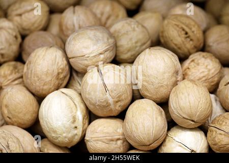 Walnüsse Haufen für Hintergrund. Trockene Nüsse in Muscheln auf dem Markt, Eiweißfutter für die Gesundheit des Gehirns Stockfoto