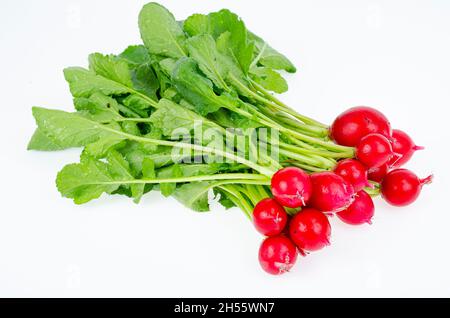 Bund junger roter frischer Rettich mit grünen Blättern isoliert auf weißem Hintergrund, Diät vegetarisches Menü. Studio Photo. Stockfoto