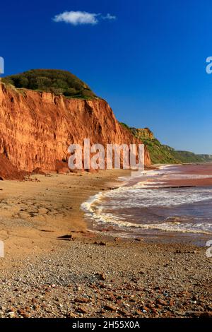 Sidmouth ist ein beliebter viktorianischen Badeort an der Jurassic Coast von aufragenden flankiert, aber instabil, roten Sandsteinfelsen, Devon, England, Großbritannien Stockfoto