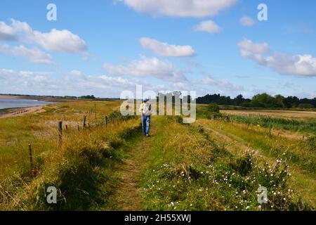 Mann, der am RSPB Simpson's Saltings, Suffolk, Großbritannien, den Küstenpfad entlang läuft Stockfoto