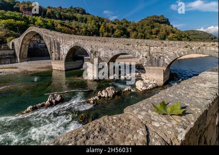 Ein Blatt mit Herbstfarben auf der niedrigen Wand mit der Ponte della Maddalena o del Diavolo im Hintergrund, Lucca, Italien Stockfoto