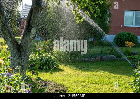 Smart Garden aktiviert mit vollautomatischem Sprinklerbewässerungssystem, das früh am Morgen im grünen Park arbeitet, der Rasen bewässert Stockfoto