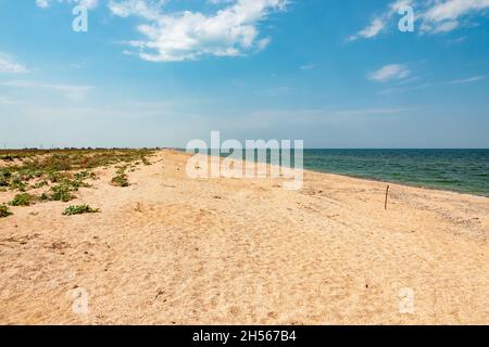 Sommerabend am Strand des Asowschen Meeres Stockfoto