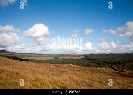 Das Big Water of Fleet Viadukt überquert das Big Water of Fleet bei Dromore in der Nähe von Gatehouse of Fleet Dumfries und Galloway Scotland Stockfoto