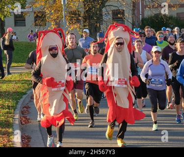 Halifax, Nova Scotia, Kanada. November 2021. Die Läufer sind als Hummer verkleidet und starten den Halifax Scotiabank Blue Nose Marathon an einem frisch sonnigen Sonntagmorgen. Tausende von Teilnehmern, die bei verschiedenen Veranstaltungen durch die Straßen der Stadt gingen, an der Spitze der Marathon-Distanz, da die Veranstaltung in diesem Jahr wieder zu ihrem regulären Format zurückkehrt. Kredit: Meanderingemu/Alamy Live Nachrichten Stockfoto