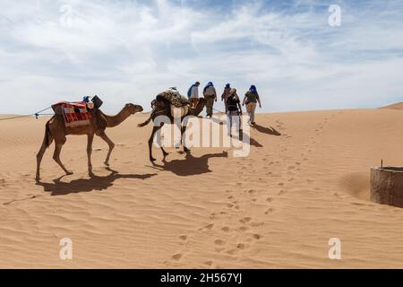 Provinz Errachidia, Marokko - 16. Oktober 2015: Gruppe von Touristen und Kamelkarawanen, die durch die Sanddünen der Sahara fahren Stockfoto