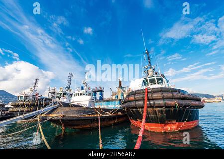 Gruppe von Schlepper oder Schlepper im Internationalen Hafen von La Spezia, Blick vom Bug, Golf von La Spezia, Ligurien, Italien, Europa. Stockfoto