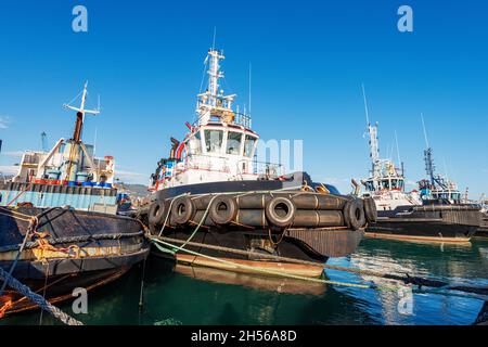 Gruppe von Schlepper oder Schlepper im Internationalen Hafen von La Spezia, Blick vom Bug, Golf von La Spezia, Ligurien, Italien, Europa. Stockfoto