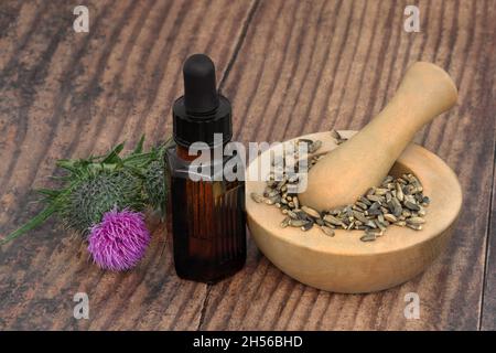 Distel-Kräuteröl mit Samen und Pflanzen, die in der Kräutermedizin verwendet werden, milken. Behandelt Erkrankungen der Leber und der Gallenblase. Stockfoto