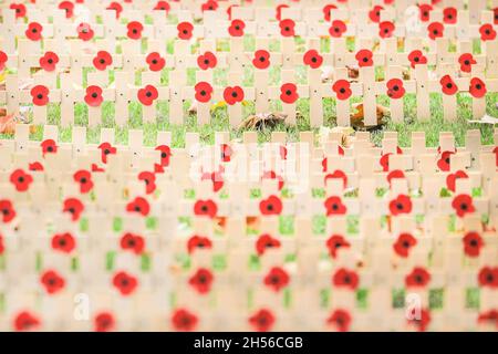 Westminster, London, Großbritannien. November 2021. Das Feld der Erinnerung außerhalb der Westminster Abbey nimmt Gestalt an, da im Innenhof der Abtei Reihen und Reihen kleiner Tribute mit Mohnblumen gepflanzt werden. Jeder Tribut trägt eine persönliche Botschaft an jemanden, der im Dienste des Landes ihr Leben verloren hat. Das Feld wird am Donnerstag, 11. November, offiziell eröffnet. Kredit: Imageplotter/Alamy Live Nachrichten Stockfoto