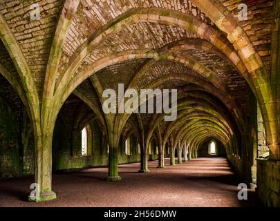 Steinkeller in den Ruinen der Fountains Abbey in North Yorkshire, England Stockfoto