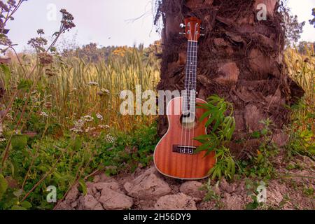 Lied mit Marihuana. Ukulele singt Lieder mit der Natur. Grüne Blätter von Cannabis neben einer Gitarre. Stockfoto