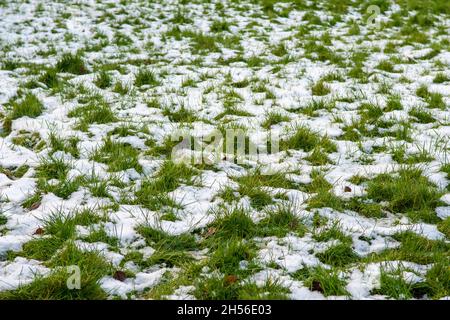 Leichte Schneebedeckung auf Gras im Winter, aufgenommen in Bristol Stockfoto