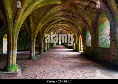 Steinkeller in den Ruinen der Fountains Abbey in North Yorkshire, England Stockfoto