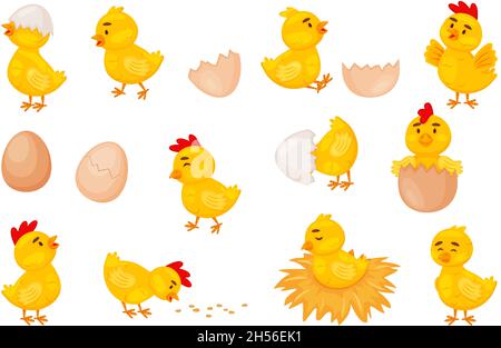 Cartoon Baby Hühner, ostern niedlichen kleinen Küken. Lustige neugeborene Huhn in Eierschale, Küken schlüpfen aus Ei, Bauernhof Vogel Tier Vektor-Set. Niedliches gelbes Zeichen auf Nest, das Samen frisst Stock Vektor