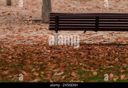 Holzbank im öffentlichen Park im Herbst mit fallenden Blättern auf Gras. Gedreht im Retiro Park, Madrid, Spanien Stockfoto
