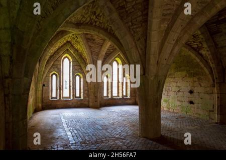 Steinkeller in den Ruinen der Fountains Abbey in North Yorkshire, England Stockfoto