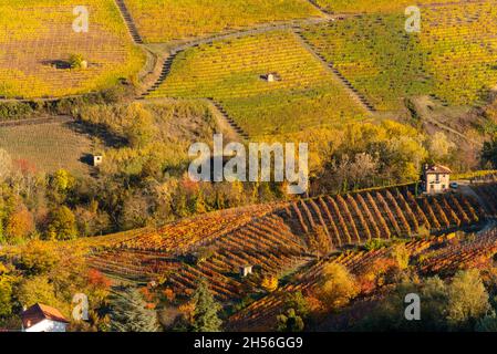 Barolo Hügel, Langhe, Italien, Landschaft di Nebbiolo Weingärten mit schönen Herbstfarben Stockfoto