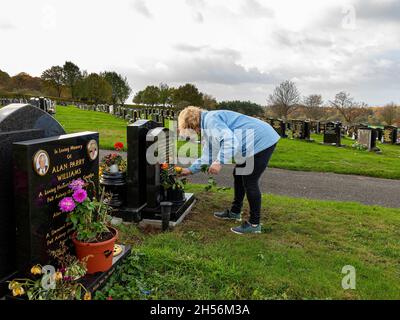 Reife Dame legt an einem windigen Tag Rosen auf ein Grab Stockfoto