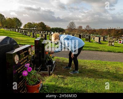 Reife Dame legt an einem windigen Tag Rosen auf ein Grab Stockfoto