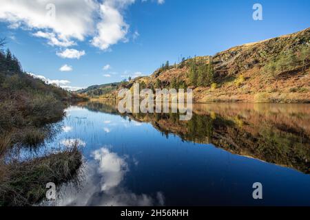 Kunstwerke rund um Black Loch, Galloway Forest, Schottland Stockfoto