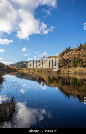 Kunstwerke rund um Black Loch, Galloway Forest, Schottland Stockfoto