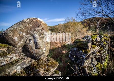 Kunstwerke rund um Black Loch, Galloway Forest, Schottland Stockfoto