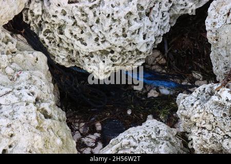 Leinen/Seil vom kommerziellen Fischen am Strand Stockfoto