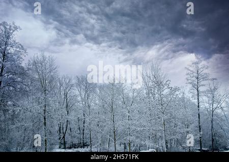 Wunderschöne Winterlandschaft mit Schnee, Bäumen und bewölktem Himmel Stockfoto