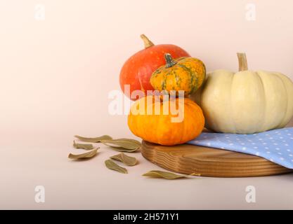 Würzige Kürbisse auf dem hölzernen Schneidebrett.Konzept für den Ernte- und Danktag.Text kopieren. Stockfoto