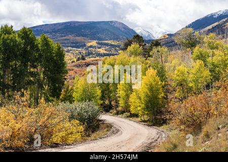 Früher Schnee auf den Gipfeln der La Sal Mountains mit den Espenbäumen in brillanter Herbstfarbe in der Nähe von Moab, Utah. Stockfoto