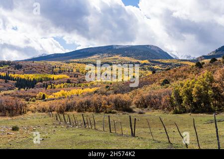 Früher Schnee auf den Gipfeln der La Sal Mountains mit den Espenbäumen in brillanter Herbstfarbe in der Nähe von Moab, Utah. Stockfoto